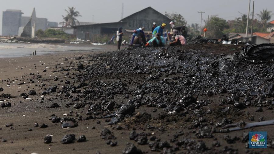 Akibat adanya tumpahan minyak Pertamina di utara laut Karawang membuat hasil tangkapan ikan nelayan di kawasan tersebut menurun.