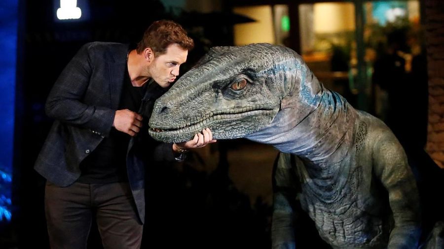 Actor Chris Pratt kisses the velociraptor character named Blue during the 