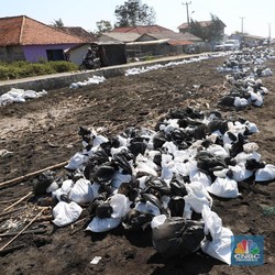 Tumpahan Minyak Pertamina Capai 39 Ribu Barel & 5 Juta Karung