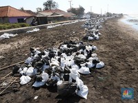 Tumpahan Minyak Pertamina Capai 39 Ribu Barel & 5 Juta Karung
