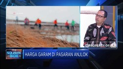 Regulasi Pemerintah Tidak Dukung Garam Rakyat