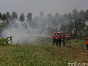 Asa Petugas Padamkan Karhutla di Sumsel demi Bertemu Keluarga