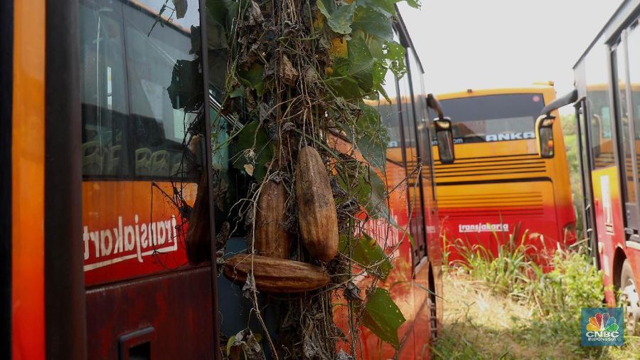 Bus-bus TransJakarta yang teronggok di Bogor berasal dari eks aset perusahaan pengadaan bus yang bermasalah pailit.