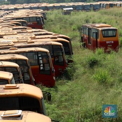 Parah! 'Kuburan' Bus TransJakarta, Ada 483 Bus Jadi 'Bangkai'
