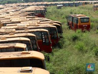 TransJakarta Bantah Terlibat di 'Kuburan' Bus, Apa Buktinya?