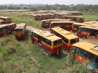 'Kuburan' TransJakarta, DKI Berpotensi Kehilangan Rp106 M!