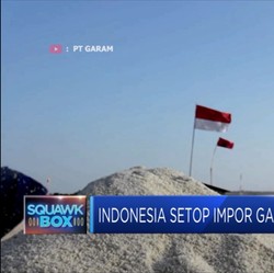 Ehh...Ternyata Luhut Setuju Kurangi Impor Garam
