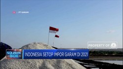 Ehh...Ternyata Luhut Setuju Kurangi Impor Garam