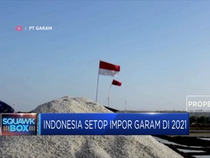 Ehh...Ternyata Luhut Setuju Kurangi Impor Garam