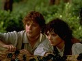 'Lord of The Rings' Bakal Jadi Serial Televisi