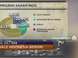 Lahirnya Raksasa Nikel Nusantara, Vale Indonesia