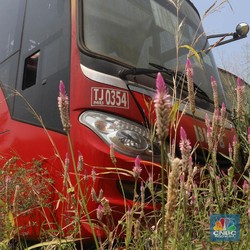 Kasus Bus TransJakarta, INKA Ogah Balik DP ke Pemprov DKI