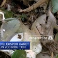 Ekspor Karet Mundur, Akibat Jamur