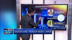 Ekspor Karet Mundur Akibat Jamur