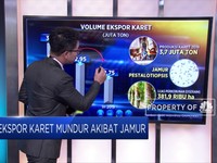 Ekspor Karet Mundur Akibat Jamur