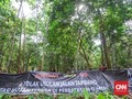 Tolak Jalur Batu Bara, LSM Sebut Puluhan Spesies Terancam