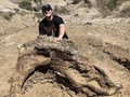 Mahasiswa Amerika Temukan Fosil Dinosaurus Usia 65 Juta Tahun