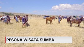VIDEO: Menjelajahi Pesona Wisata Sumba
