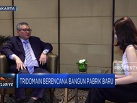 Kilau Kenaikan Net Profit Tridomain Capai 30%