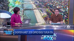 Gapkindo : Harga Rendah Bikin Pohon Karet Jamuran