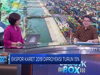 Gapkindo : Harga Rendah Bikin Pohon Karet Jamuran