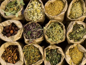Studi Baru Teliti Manfaat Obat Herbal China, Ampuh Redakan Gejala Penyakit Ini