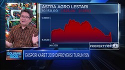 Begini Upaya Dongkrak Produksi Karet