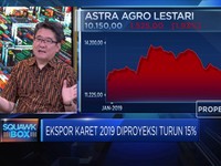 Begini Upaya Dongkrak Produksi Karet