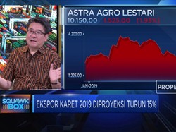 Begini Upaya Dongkrak Produksi Karet