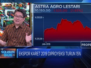 Begini Upaya Dongkrak Produksi Karet