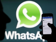 Kebijakan Privasi Baru WhatsApp! Cek Nih Apa yang Berubah