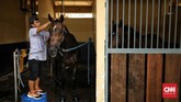 JIEP Pulomas menjadi Equestrian Park terbesar di Asia Tenggara dengan luas 32,25 hektare. Area field of play dan istal JIEP memiliki standar internasional. (CNN Indonesia/Hesti Rika)