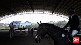 Sejumlah atlet berkuda berlatih sebelum tampil di Indonesia Horse Show 2019 di Jakarta International Equestrian Park (JIEP), Pulomas, Jakarta, Minggu (28/7). (CNN Indonesia/Hesti Rika)