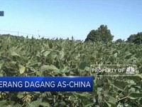 Harap-Harap Cemas Menanti Perundingan AS-China