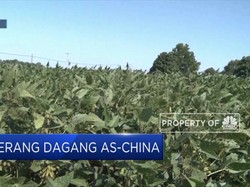 Harap-Harap Cemas Menanti Perundingan AS-China