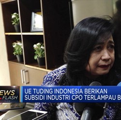 Kemendag: Bea Masuk Produk CPO RI ke Uni Eropa Belum Final