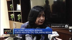 Kemendag: Bea Masuk Produk CPO RI ke Uni Eropa Belum Final