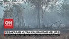 VIDEO: Kebakaran Hutan Kalimantan Meluas