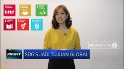 Kolaborasi Pemerintah dan Swasta Wujudkan SDGs