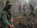 Walhi Tak Rela TNI Padamkan Karhutla yang Dipicu Korporasi