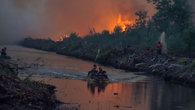 Delapan Daerah Tetapkan Status Siaga Bencana Kebakaran Hutan - CNN Indonesia