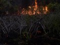 BMKG Sebut 138 Titik Panas Kepung Riau