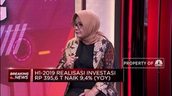 Realisasi Investasi Tumbuh Melambat, Ini Kata Ekonom