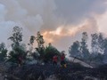 Polri Tetapkan 362 Tersangka Karhutla se-Indonesia