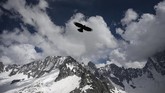 Seekor burung terbang di atas area pendakian Aiguille des Leschaux and the Grandes Jorasses, Chamonix, selatan Prancis. (AFP Photo/Marco Betorello)