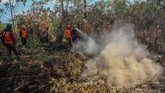 Tim Satgas Karhutla terus melakukan upaya pemadaman di sejumlah daerah agar kebakaran hutan dan lahan di Provinsi Riau tidak semakin meluas. (ANTARA FOTO/Rony Muharrman)