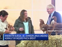 Kejar Brexit, PM Inggris Janji Lindungi Petani