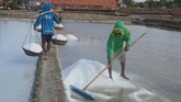 Gubernur Jawa Timur Khofifah Indar Parawansa mengusulkan agar pemerintah pusat membentuk data tunggal terkait produksi dan perdagangan garam. Tujuannya, untuk menstabilkan harga garam di dalam negeri. (ANTARA FOTO/Saiful Bahri).