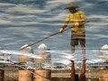 FOTO: Teriak Petambak Garam Karena Harga Tenggelam
