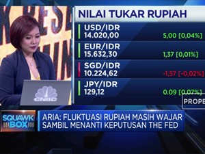 Aman, Rupiah Masih Bergerak Sesuai Fundamental